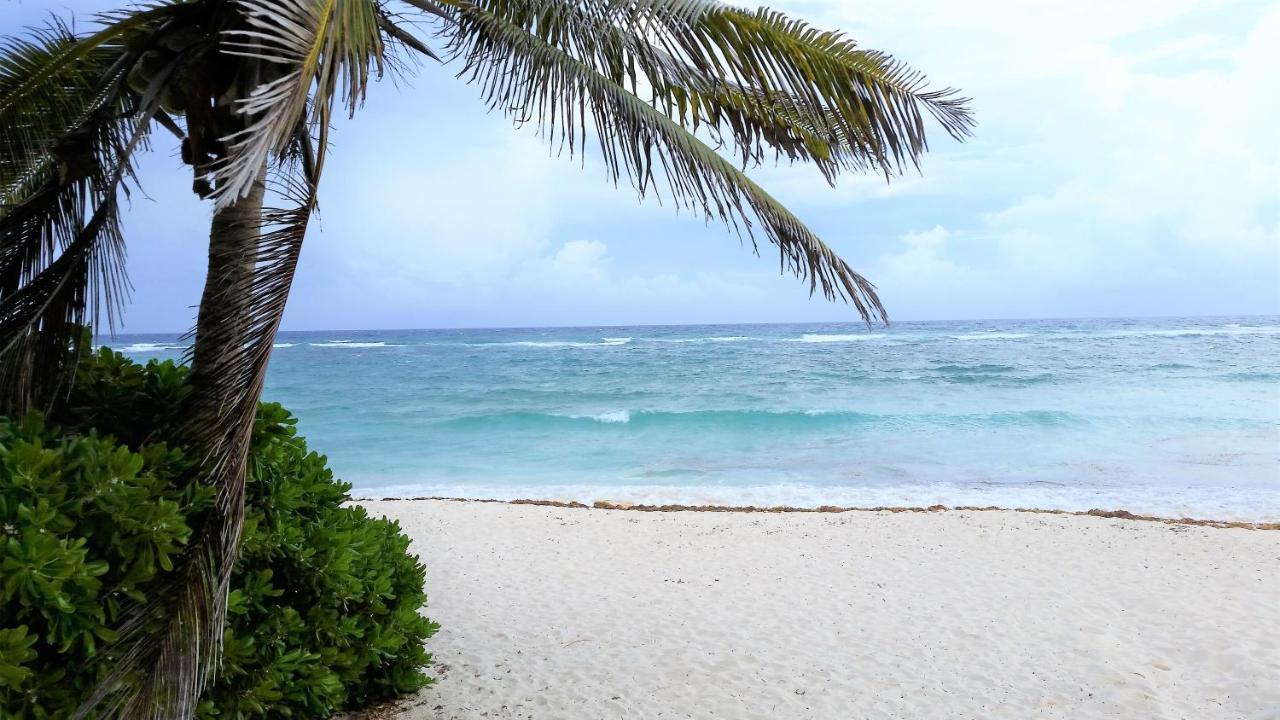Riviera Maya Luxury Oceanfront Condo Акумал Екстериор снимка